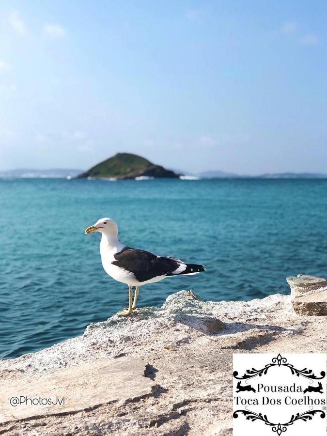 Pousada Toca Dos Coelhos Arraial do Cabo Esterno foto