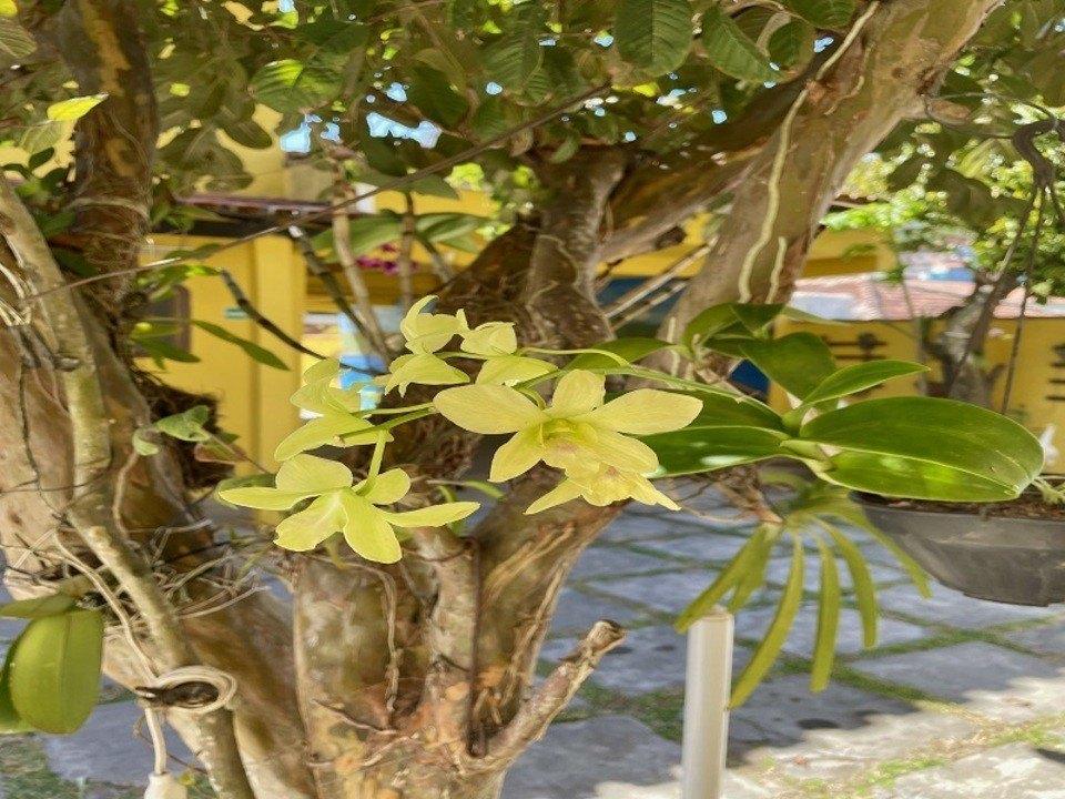 Pousada Toca Dos Coelhos Arraial do Cabo Esterno foto